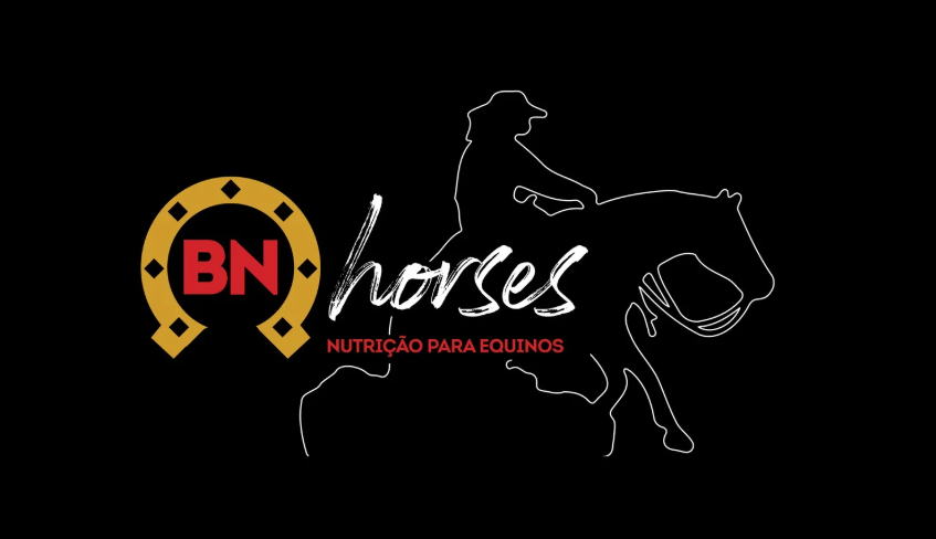 Logo BN Horses